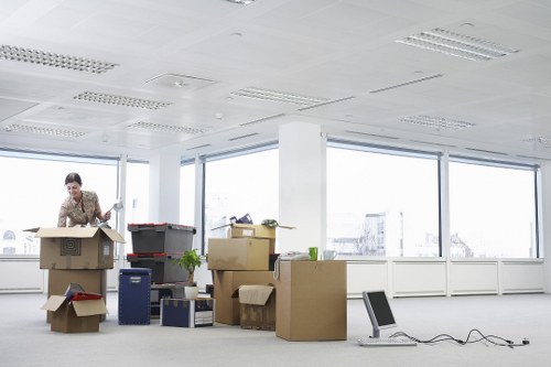 Careful wrapping of fragile household items for relocation